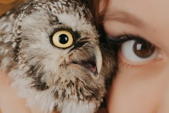 Tusk Casino Ënnerstëtzung